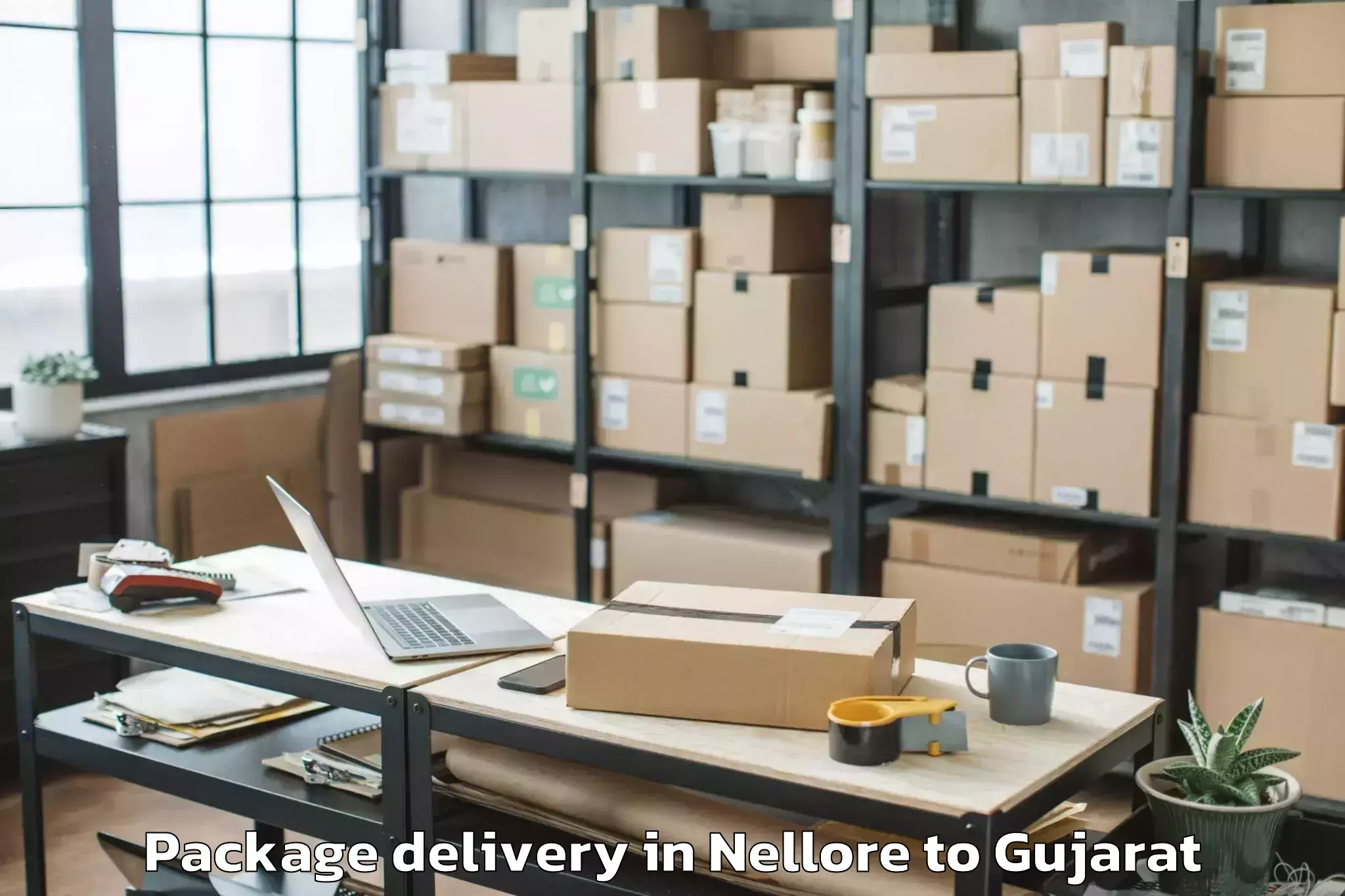 Top Nellore to Jamjodhpur Package Delivery Available